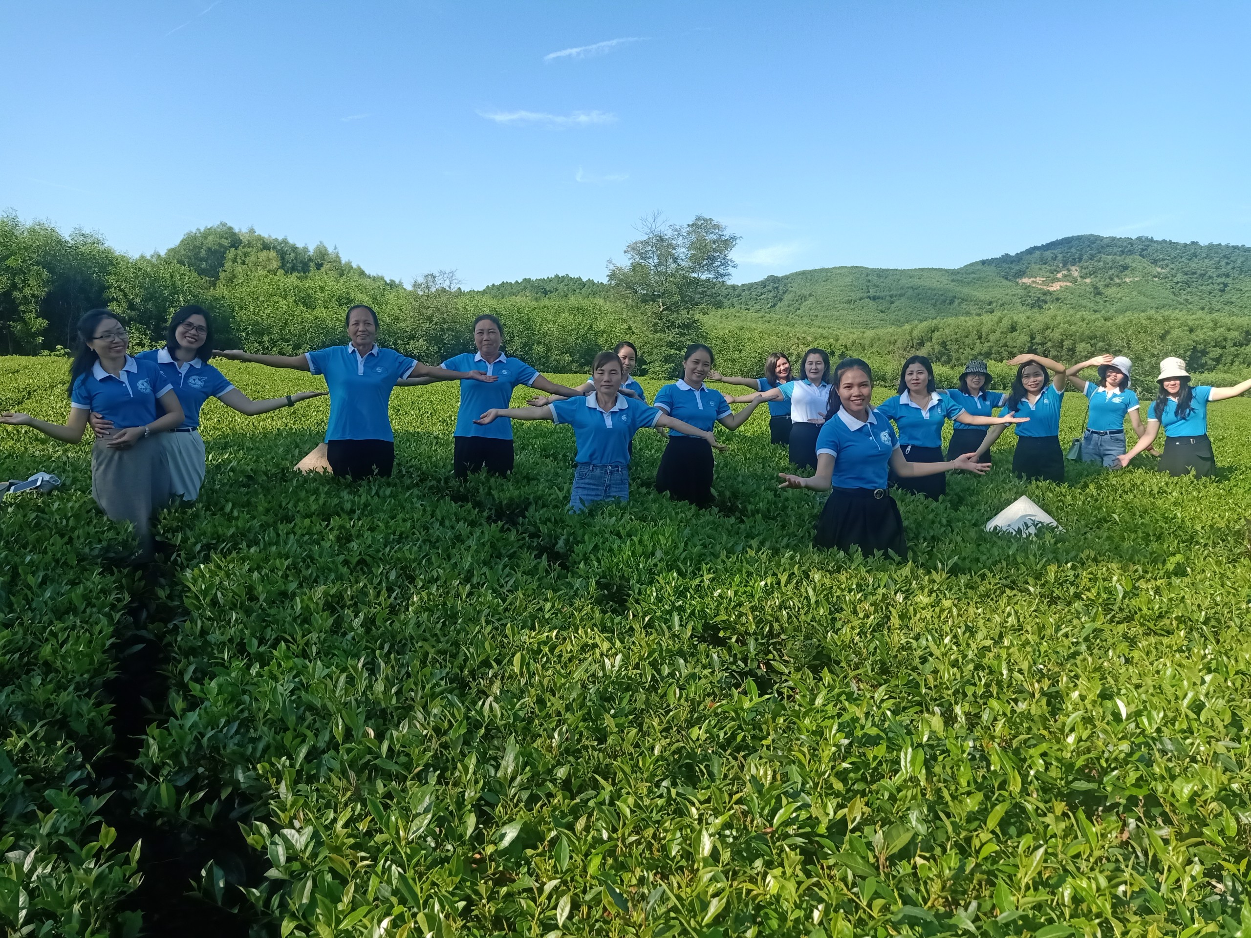 Hội LHPN huyện Kỳ Anh trải nghiệm, check in trên đồi chè
